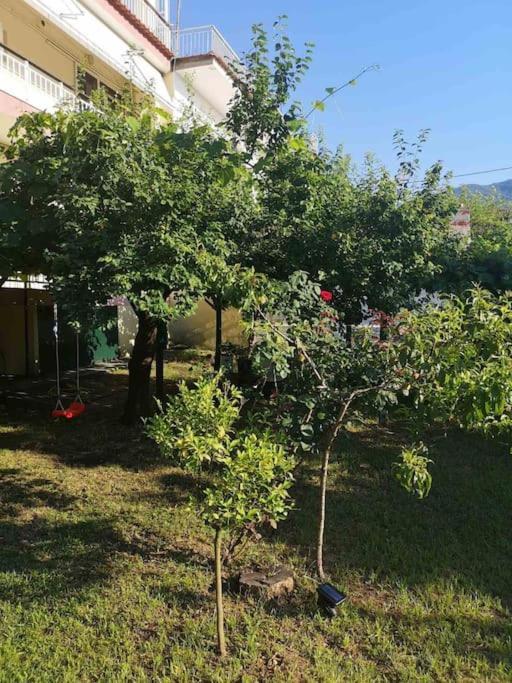 Evangelias House! Apartment Stavros  Exterior foto